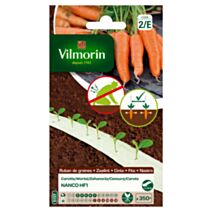 Graines Ruban de Graines Carotte Nanco HF1 5m - VILMORIN