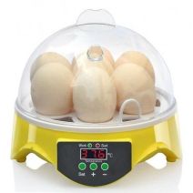 Couveuse incubateur manuelle 7 oeufs - LIFLAND