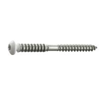 6 vis tête ronde fixation fenêtre PVC sur bois 6x70 - INVENTIV