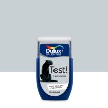 Testeur de Peinture Crème de Couleur Hammam 30ml - DULUX VALENTINE
