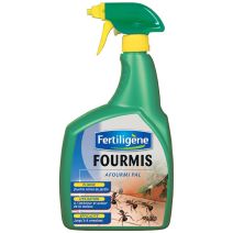 Fourmis prêt à l'emploi