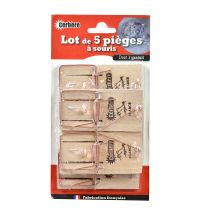 Tapette souris x5