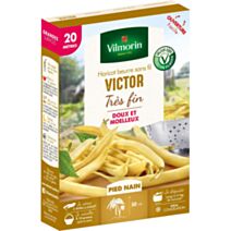 Graines Haricot Nain Beurre Victor 20m - VILMORIN