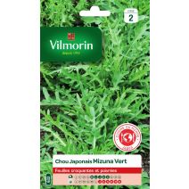 Graines Chou Japonais Mizuna Vert - VILMORIN