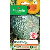 Graines Potiron Marina Di Chioggia - VILMORIN
