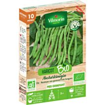 Graines Haricot Grimpant Vert Neckarkönigin 10m Bio - VILMORIN