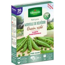 Graines Pois Nain à Grain Ridé Merveille de Kelvedon 20m - VILMORIN