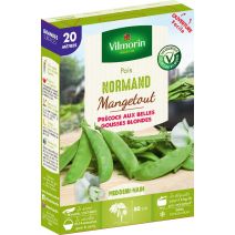 Graines Pois Mangetout Normand 20m - VILMORIN