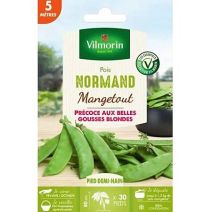 Graine de Pois Normand 5m - VILMORIN