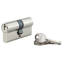 Cylindre 5 goupilles SA - 30x30mm 3 clés