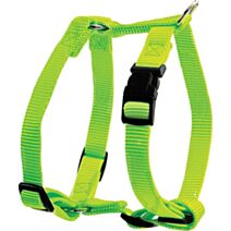 Harnais nylon pour chien