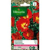 Eschscholtzia Californica Rouge Vilmorin