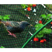 BIRDNET Filet de protection oiseaux PE noir 8x10m