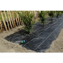 WATERSOL Toile de paillage 125 gr/m² avec tuyaux gouttes à gouttes et raccords noir 1,25x10 m