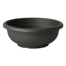Coupe olimpo anthracite 40 cm