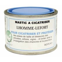 Mastic à cicatriser 75 g