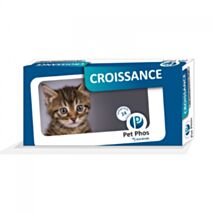 FURMINATOR ANTI-MUE POIL COURT CHAT L 1 BROSSE (141259)