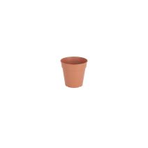 POT MADAGASCAR TO GROW 11CM TERRE C