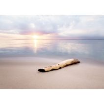 Toile 30x45 branche sur sable