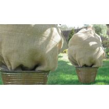 Housse d'hivernage en jute 1x1,10m
