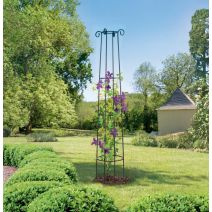 Tuteur colonne metal pour plantes grimpantes 2m