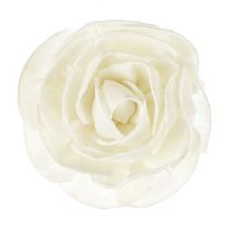 Fleur de goatier grande rosea
