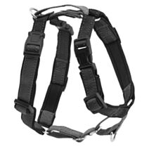 Harnais easywalk chien xs noir