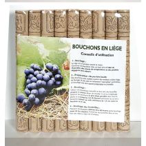 Plaquette 45 bouchons 45x24 