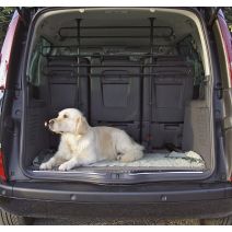 Grille pour voiture