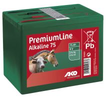 Pile alcaline 9 V 