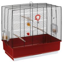 Cage rekord 4 noire
