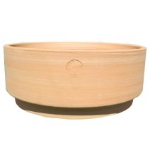 Coupe cylindrique 20 cm patine