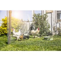 Grillage maille carré galvanisée 13x13mm rlx 0,5x5m