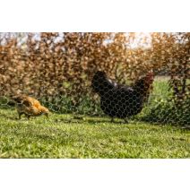 Maille hexagonale vert  25x25mm rlx 1x10m 