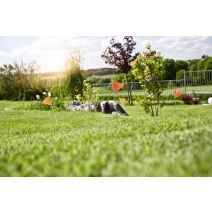 Fanions de balisage galeries taupes vole trap 