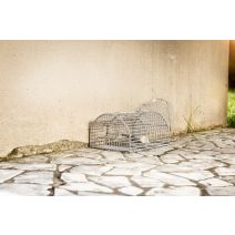 Nasse à souris multiprises