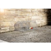 Nasse à rats multiprises