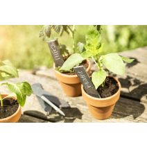 Etiquettes à planter ardoise avec craie par 8