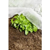 Voile de croissance basic 10x1,5m blc 17g/m²