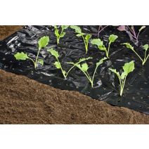 Film de paillage 1,2x10m noir 20µ