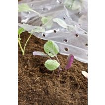 Film de forçage 1,5x10m 20µ