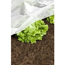 Voile de croissance 1,5x5m blc 17g/m²