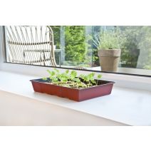 Serre d'intérieur 220x335x110mm + 24 pastilles