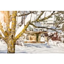 Mangeoire pour oiseaux chalet