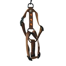 Harnais 25-70/90 papillon ora