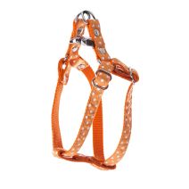 Harnais pois s 15-35/45 oran