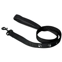 Laisse 16-100 patte silver