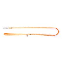Laisse pois xs 10-100 orange