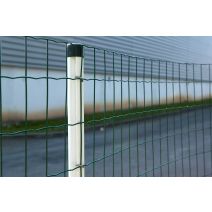 Grillage en Rouleau Soudé Vert Axial Super 250 25x2m - DIRICKX