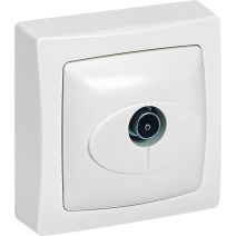 Prise TV simple appareillage saillie blanc - LEGRAND